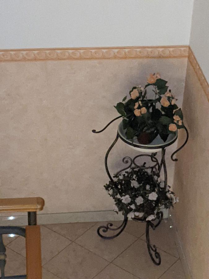 D'Elite Room & Breakfast Ferrara Exterior foto